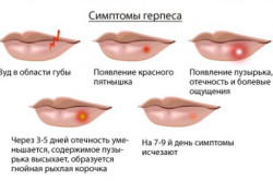 «Я у мамы обольститель» ©