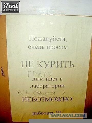 Объявление для Вонни