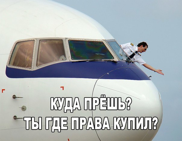 Немного картинок для настроения 11.02.20