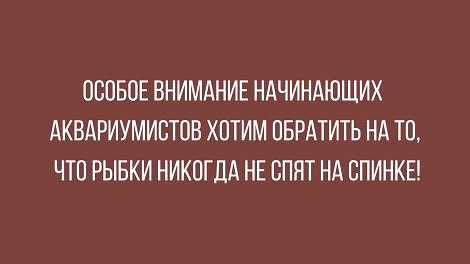 Фотки и картинки: юморные и красивые, забавные и милые 19.09.20