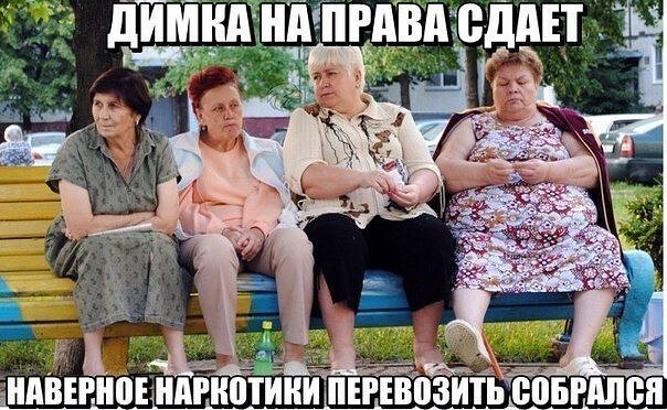 Фотки и картинки: юморные и красивые, забавные и милые 19.10.20