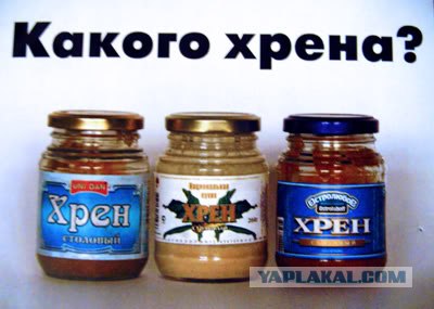 Холодает! Ешьте хрен!