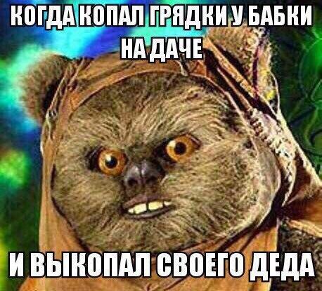 Юмор и прикольные картинки 04.12.2020