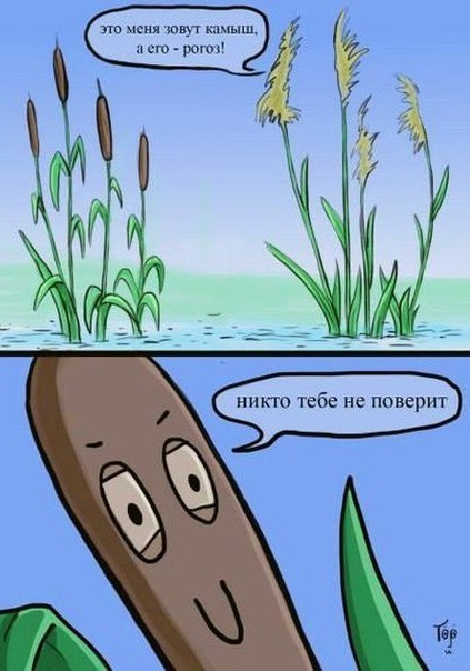 Как выжить зимой в лесу без еды