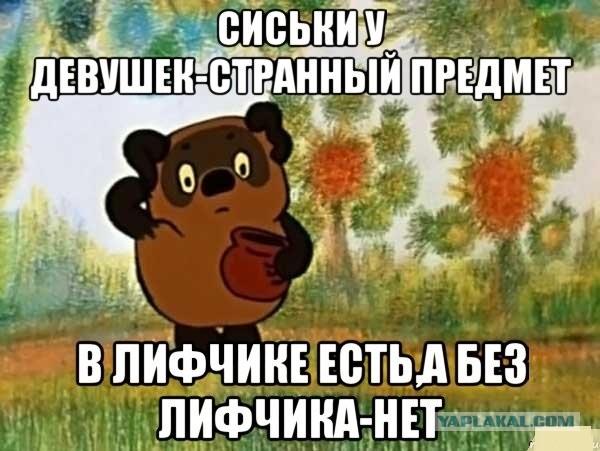 Бредзона 02.03.2021