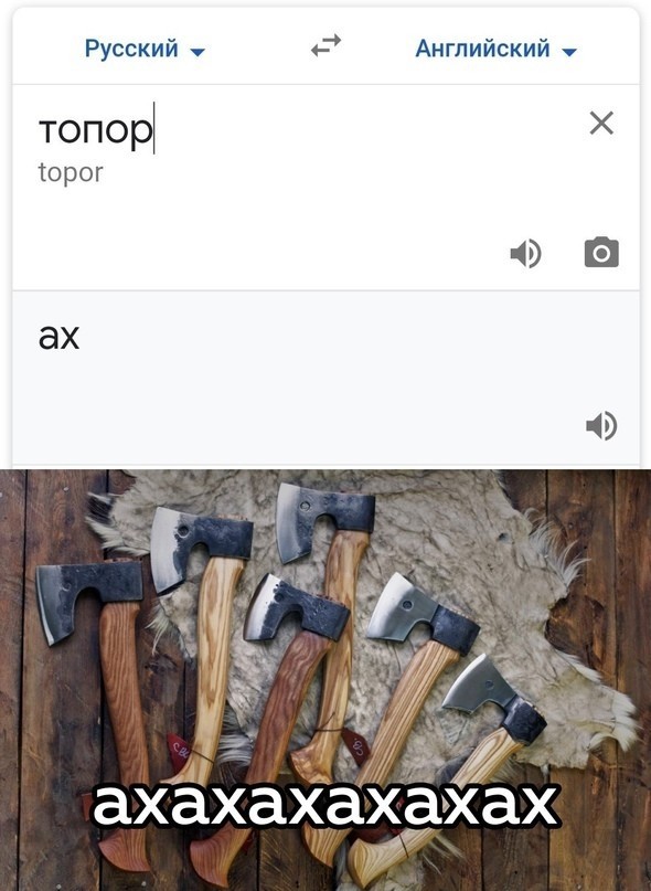 Весёлый полтишок 25.05