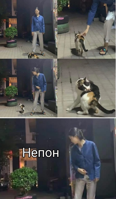 Весёлый полтишок 1.06.