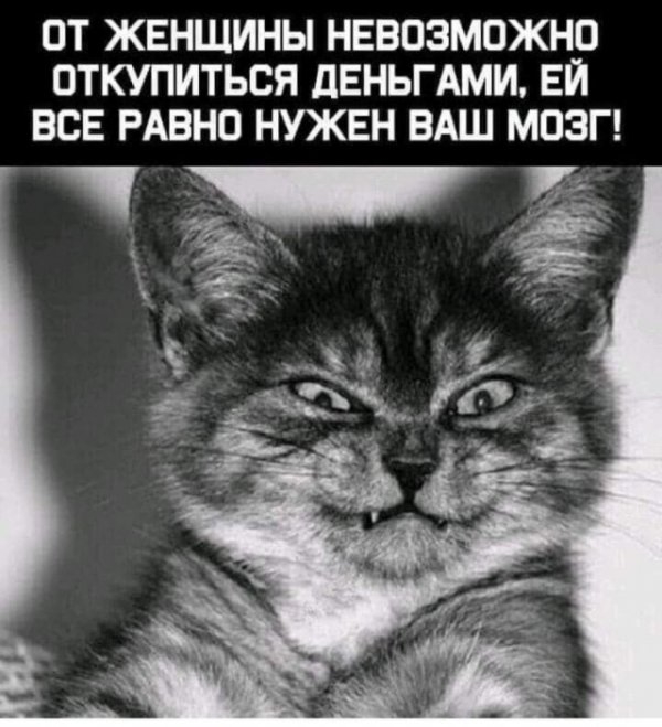 Картинки и мемы для настроения