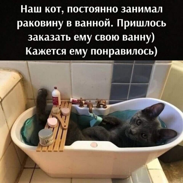 Баянисто-небаянистый юмор 12.07.21