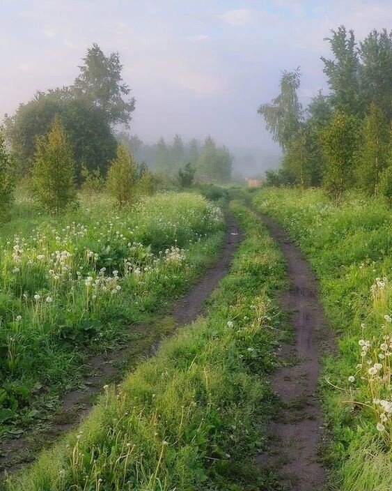 Прикольные и просто красивые картинки 04.08.2021