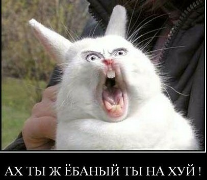 Заблудившийся европеец