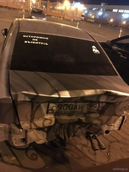 Весёлый полтишок 02.11