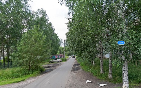 Свежая зелень