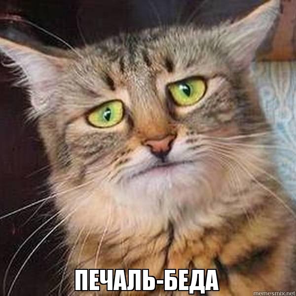 Сказ как умер двигатель на новом BMW