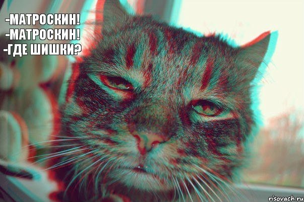 Срочное сообщение населению "поверхности"