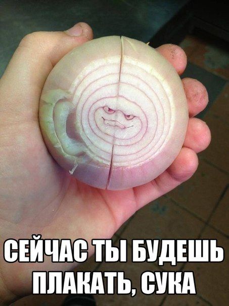 На мемы надейся, а сам не плошай! 12.02.22