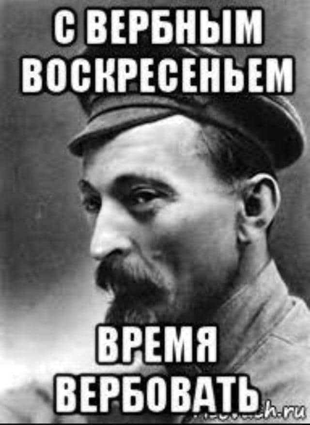 Так себе картинки 17.04.22