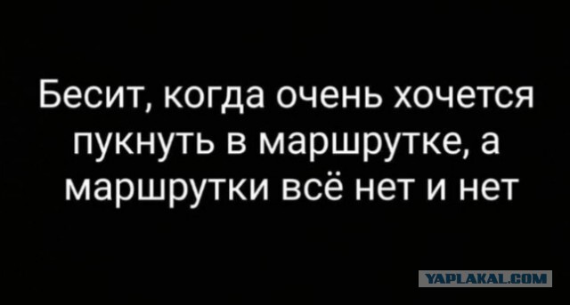 Весёлый полтишок 14.06.22