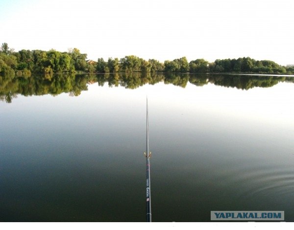 Открытая вода