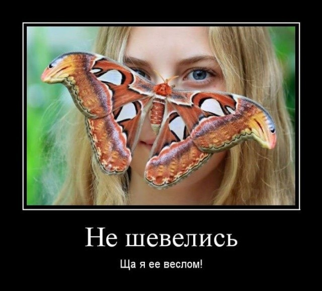 Картинки с надписями 21.07.22