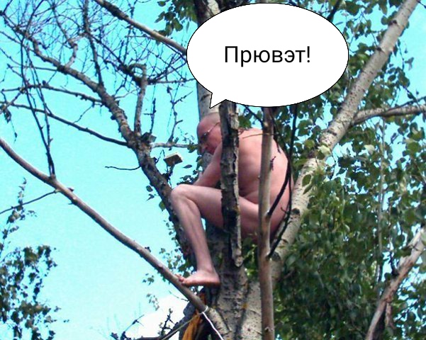 Секса больше у нас не будет