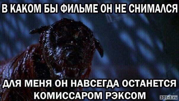 Овчарке из фильма "Я-легенда" 18 лет