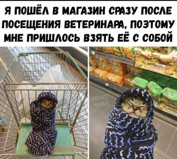 Картинки и мемы для настроения - 133