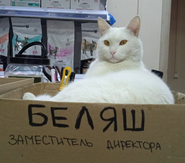 Так себе картинки 17.12.22