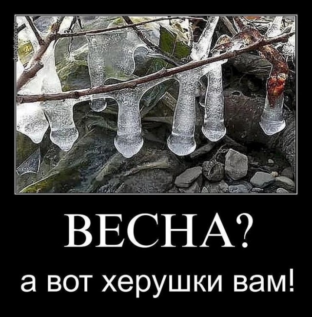 Немного картинок для настроения - 137