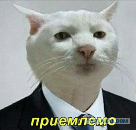 Вместо самолетов, Канада передаст Украине 38 пулеметов.