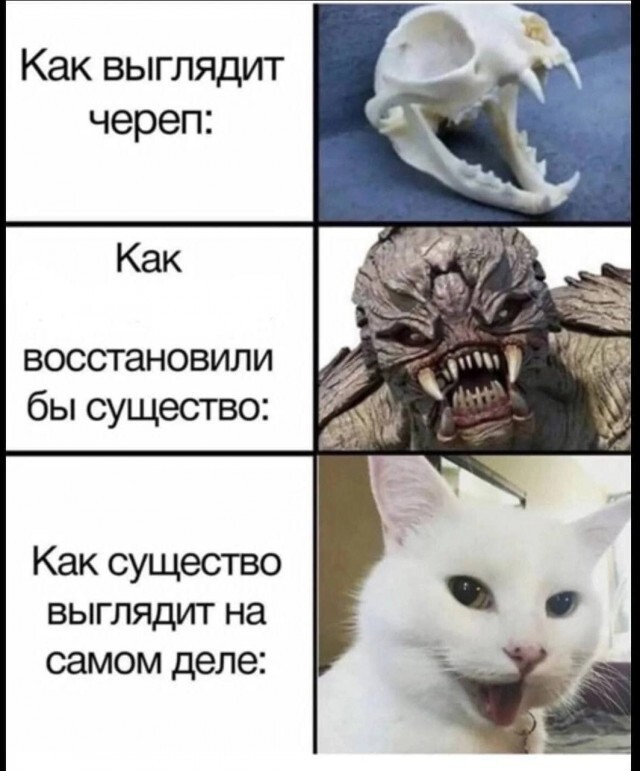 #9. Закрываем зиму