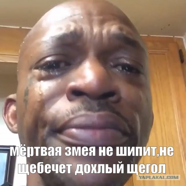 Подлый удар не прошел