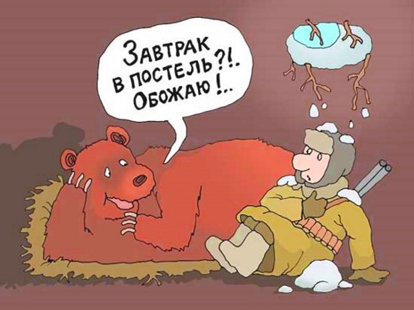 Рандомные анекдоты про медведя