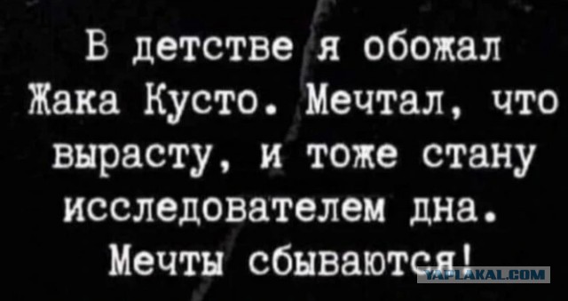 Ситуация с передачей Украине командиров нацбатальона "Азов" не повлияет на реализацию совместного газового хаба России и Турции,