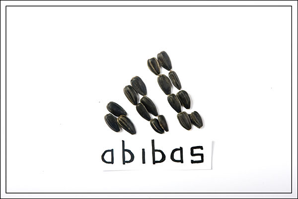 Abibas. Теперь официально