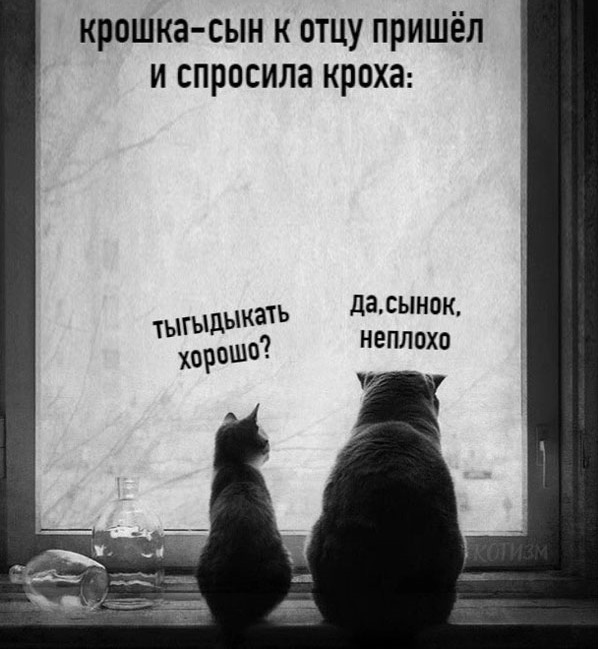 Всего понемногу. От 04.03.24