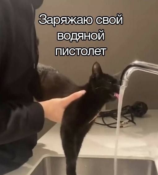 Так себе картинки 26.07.24