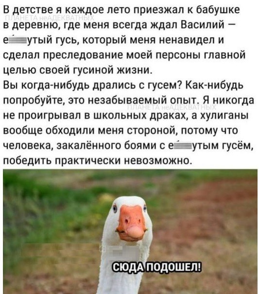 Получаем люлей от гусей