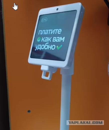 Набиуллина: масштабное внедрение цифрового рубля возможно в середине 2025 года