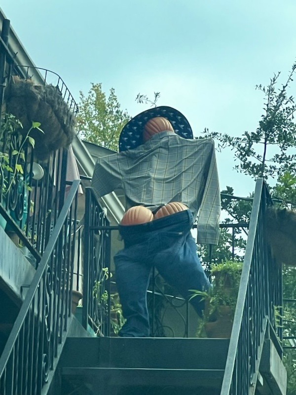 Хэллоуин - 50