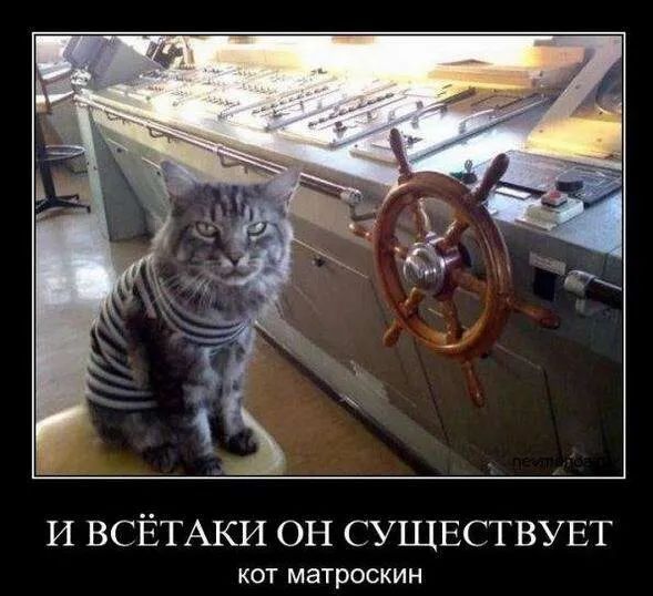Картинков разных вам