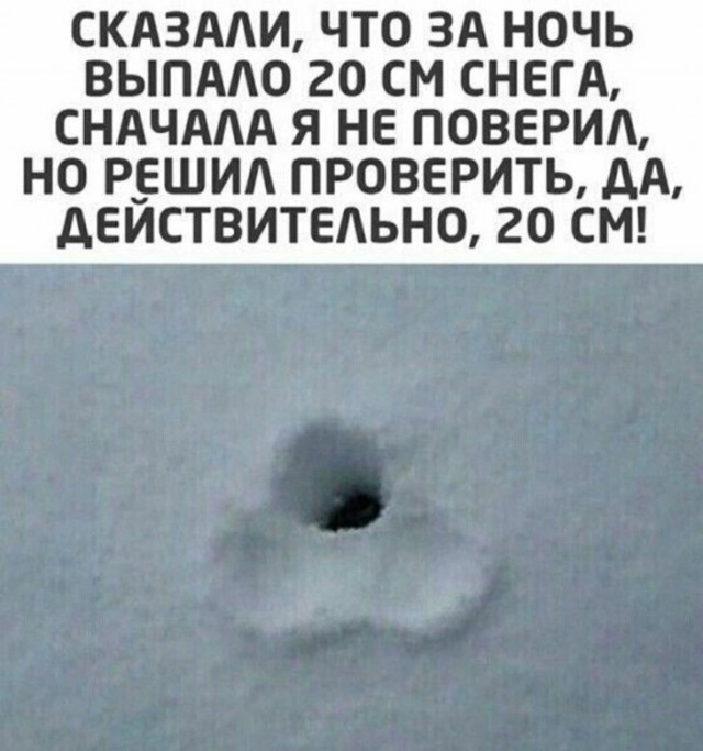 Так себе картинки 22.12.24