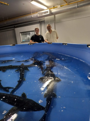 Бутан, таинственный Бутан