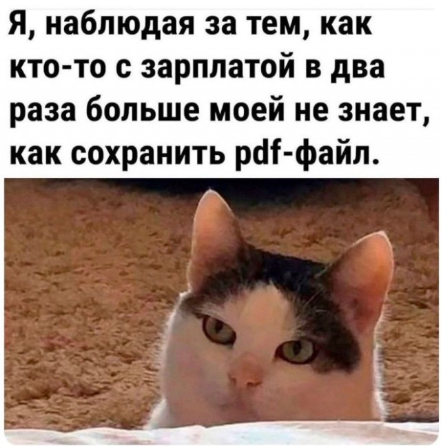 Веселые картинки в среду, практически пятницу 30.04
