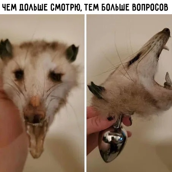 20259128.jpg