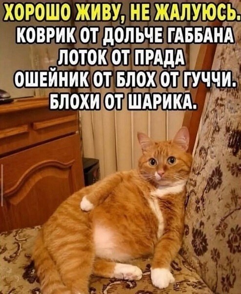 Среды картинки