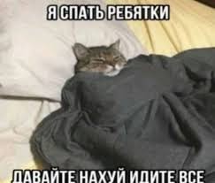 Всем спокойной ночи