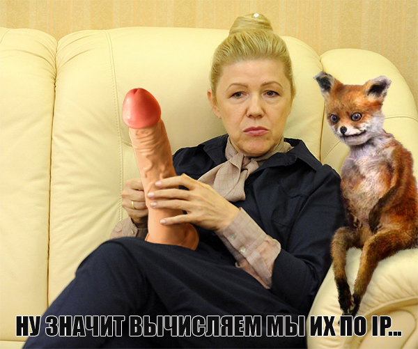 По факту оскорблений в Интернете Мизулиной