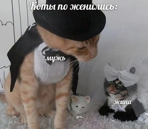 Картиночки, баянчики 01 августа