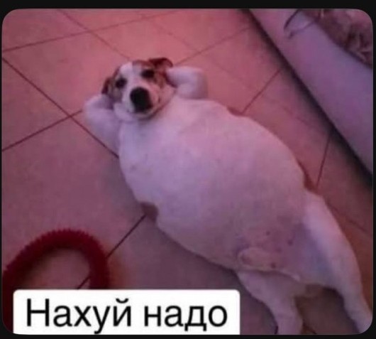 Делитесь